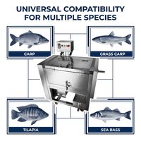 Écailleur de poisson automatique pour restaurants et boucheries de poisson grillé, solution d'écaillement rapide en 30 secondes, sans blesser le poisson, modèles 500, 700, 1000