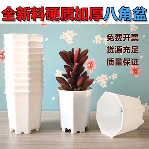 Maceta octogonal blanca de plástico con orificios de drenaje para uso modular en escritorio o pared. - Product Image 5