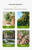 Tuinmes voor enten, professioneel fruitboom- en zaailingentenmes, stalen vouwmes, elektricienmes, multifunctioneel mes