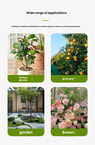 Cuchillo de injerto profesional para jardinería, cuchilla de acero plegable multiusos para injerto de brotes de árboles frutales y plántulas, ideal para electricistas. - Product Image 6