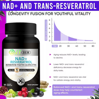Capsules NAD Plus 90 unités – Soutien Énergétique Cellulaire – Complément Booster NAD – Vente en Gros – Marque Privée – OEM ODM – Usine