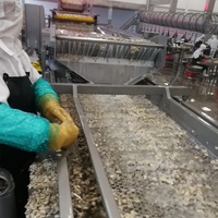 LWT Volledig Automatische/Semi-automatische RVS Voedselveilige Productielijn voor Geblikte Champignons met Biscuitmachine