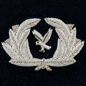 Écusson brodé personnalisé avec aigle et couronne de lauriers, à coudre sur tissu, pour uniforme ou vêtement - Product Image 1