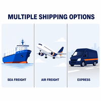 Spedizione Marittima DHL UPS FEDEX dalla Cina, Servizio FBA da Shenzhen/Tianjin verso Thailandia/Messico/Spagna/Myanmar