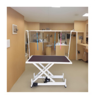 Table de toilettage électrique professionnelle pour animaux de compagnie, motorisée, hauteur réglable, station de toilettage pour chiens, surface antidérapante, portable