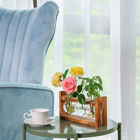 Décoration intérieure pour la maison, station de propagation de plantes aériennes en verre, pot hydroponique, vase à bulbes de fleurs, écologique