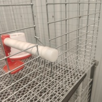 Cage à poulets de type H pour zone d'exportation et ferme de transformation