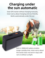 Collier solaire 3G pour bétail, puce de suivi d'animaux 4G, mini traceur GPS 4G, dispositif de suivi pour bovins, moutons, chevaux