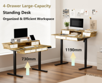 PRORIALS Bureau assis-debout moderne à moteur unique avec rangement en bois, hauteur réglable électriquement, tiroir et montage facile
