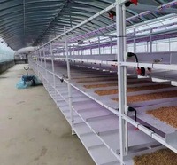 Planteur de fourrage, grand bac à fourrage, gouttière à fourrage en PVC, système de culture hydroponique pour ferme, moutons, vaches