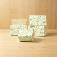 Prix d'usine – Mouchoirs faciaux jetables biodégradables portables en pulpe de bois vierge, doux et en paquet souple
