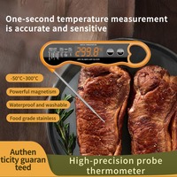 Thermomètre numérique pliable en métal rechargeable à lecture instantanée, haute précision, affichage LED, étanche pour barbecue et friture