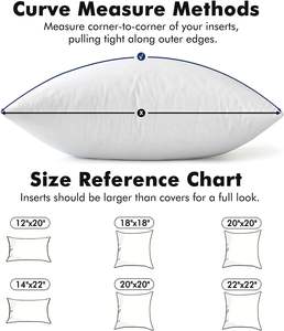 MIULEE moderne 22x22 oreillers en plumes <span class=keywords><strong>d</strong></span>'<span class=keywords><strong>oie</strong></span> 100% coton ensemble de couverture soutien du cou doux <span class=keywords><strong>moelleux</strong></span> inserts <span class=keywords><strong>d</strong></span>écoratifs canapé-lit salon - Product Image 6