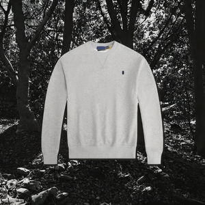 Sudadera con capucha informal de manga larga para hombre, 100% algodón polar, cuello redondo, holgada, anti-bolitas, con logo <span class=keywords><strong>Ralph</strong></span>, color liso, al por mayor - Product Image 3