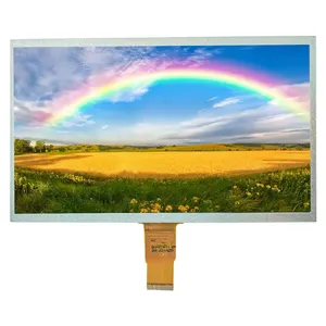 공장 직접 고품질 사용자 정의 1024*600 RGB 10.1 인치 자동차 LCD 모니터 디스플레이 모듈 소형 LCD TFT 스크린