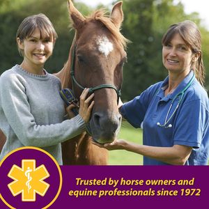 LOGO personnalisé, Complément liquide rouge pour chevaux, enrichi en vitamines, fer et minéraux, aide à combler les lacunes nutritionnelles importantes dans l'alimentation des chevaux. - Product Image 5
