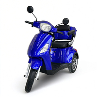 Véhicule électrique à trois roues longue portée 1000W 60V pour personnes âgées, tricycle électrique, vitesse 33 km/h, scooter Citycoco