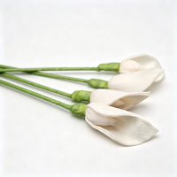 Fleur de Calla en Bois de Sola, Diffuseur d'Arômes Écologique, Décoration de Bureau Élégante pour Remise de Diplôme et Halloween