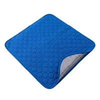 Tapis rafraîchissant d'été en soie glacée pour animaux de compagnie, respirant, antidérapant, anti-morsure, coussin rafraîchissant rectangulaire pour chiens et chats, vente en gros de tapis absorbants pour chiens
