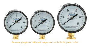 Regolatore di azoto ad alta pressione 370 tutti in ottone per gas pirity 6*25MPa valvola limitatrice pressione valvola di filtraggio ingresso gas - Product Image 4