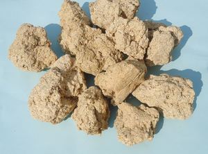 Granulés de résidus de manioc / Granulés de tapioca / Poudre de résidus de manioc séchée pour l'alimentation des chevaux, du bétail, des porcs, des poissons et des chiens Origine Vietnam - Product Image 4