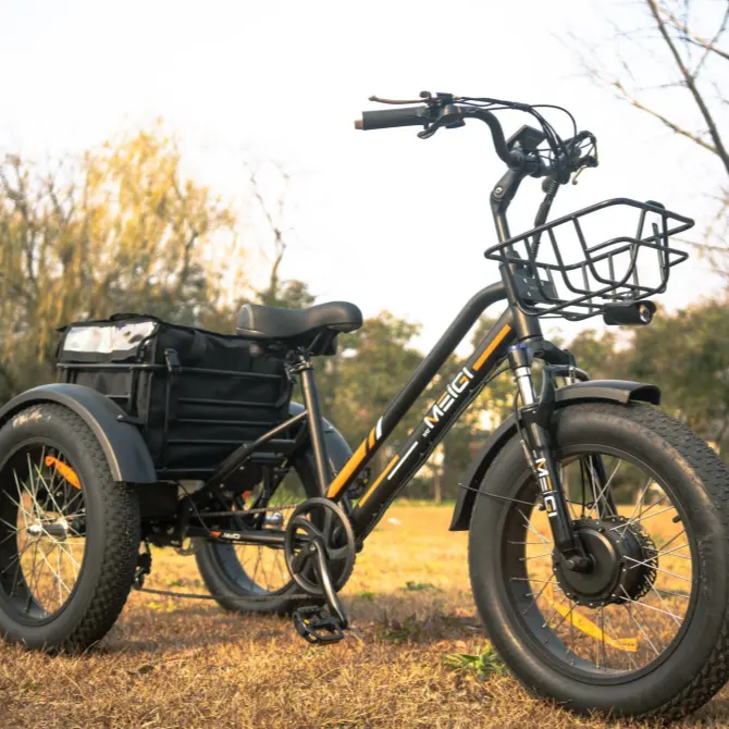 Tricicli elettrici MEIGI di alta qualità 750W pneumatici grassi bici da carico elettrica adulti bici elettrica a 3 ruote per adulti