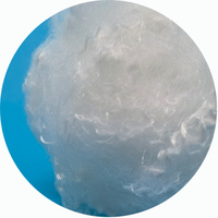Fibre discontinue polyester recyclée blanche à faible fusion 4d 51mm