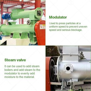 Machine de fabrication de granulés d'aliments pour lapins, volailles et poissons, électrique, pour le Nigeria - Product Image 3