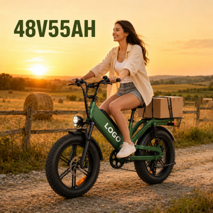 D55 City Sport 750W High Power <b>Electric</b> Bike <b>Electric</b> Mobility Scooter <b>Electric</b> City Bike E Bike for Women - Product Image 1