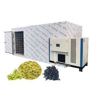 Ligne de traitement des fruits secs industriels (raisins) – Machine de lavage et de séchage des raisins, séchoir à figues, prunes et raisins - Product Image 1