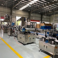 Ligne de machines de pesage et de remplissage pour fruits secs, cacahuètes, pistaches, noix de cajou, céréales, prix fournisseur Chine