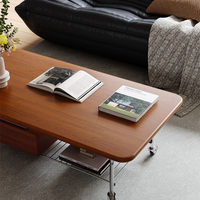 Table basse en pierre de style vintage, minimaliste, avec rangement, pour petit appartement, luxe léger, haut de gamme, mobile, nouvelle collection 2025