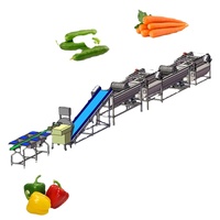 Hoogrenderende Industriële Fruit-En Groentesnijmachine Voor Verwerking En Verpakkingslijn Voor Het Wassen Van Groenten