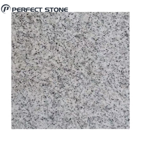 Pierre de granit naturelle blanche et grise PerfectStone pour revêtement mural extérieur, pavage de sol extérieur et façade de bâtiment