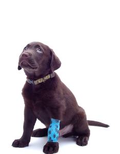 5 см x 4,5 м, повязка для ухода за раной, фиксирующая Нетканая самоклеящаяся повязка, эластичный захват, Эластичный палец, запястье и Лодыжка - Product Image 3