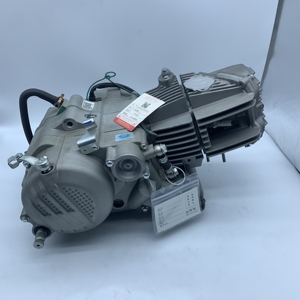 Meilleur <span class=keywords><strong>moteur</strong></span> Zongshen W190 190cc refroidi par huile, 4 <span class=keywords><strong>temps</strong></span>, deux soupapes, <span class=keywords><strong>moteur</strong></span> de motocross pour Yamaha pour <span class=keywords><strong>Kawasaki</strong></span> - Product Image 5