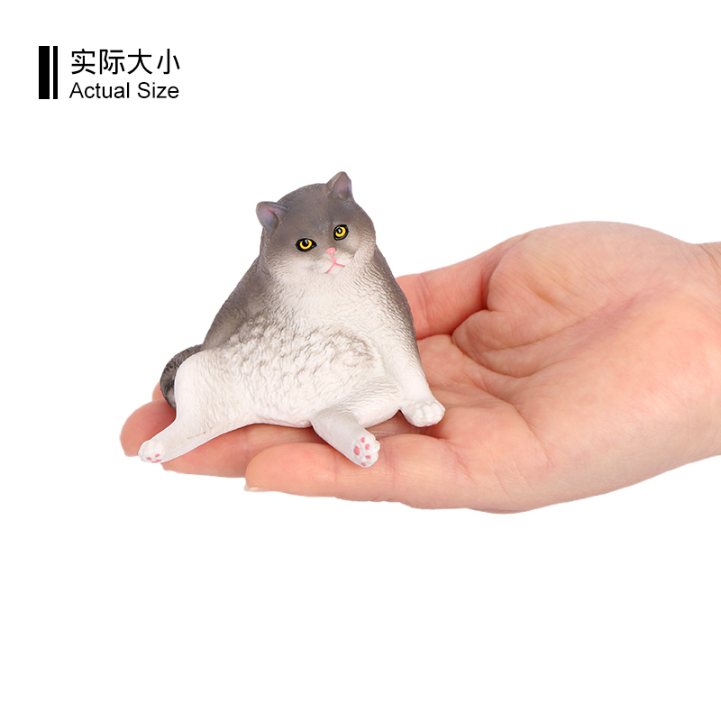 3342 Gatto pigro