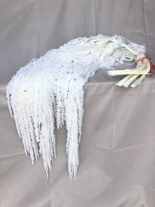Decoraciones <span class=keywords><strong>de</strong></span> boda al por mayor flores amaranto colgantes blancas conservadas para graduación Navidad Acción <span class=keywords><strong>de</strong></span> Gracias precio <span class=keywords><strong>de</strong></span> fábrica - Product Image 2