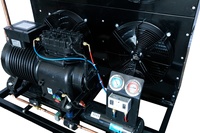 3hp 4hp 5hp 6hp 7hp 8hp10hp 12hp 20hp Réfrigération en chambre froide Stockage Réfrigération industrielle Mini 2hp Scroll Compressor Cond