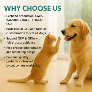 Prébiotiques et Probiotiques OEM pour Chiens en Poudre - Absorption Rapide, Soutien Immunitaire, Santé Intestinale, Articulaire et Cutanée, Complément Alimentaire - Product Image 4