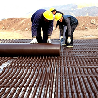 Planche de drainage en plastique / Unité de drainage poreux avec surface en galets en HDPE marron pour produits de terrassement et utilisation extérieure