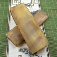 Corne de buffle naturelle, forme brute, écologique, matériau artisanal portatif, décoration intérieure, toucher réel, artisanat de l'Uttar Pradesh