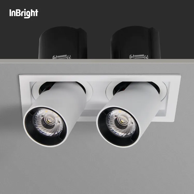 Rotate 350 Degree Adjustable Ceiling Recessed COB LED downlight Antiglare One Double Triple Heads LED wall washer Downlight