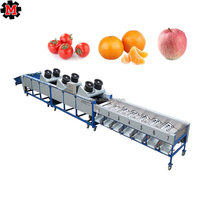 Machine de tri et de classement des litchis/châtaignes/myrtilles/fraises/jujubes