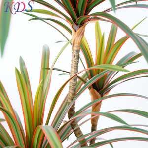 Plante éternelle japonaise, Dracaena, fausses plantes artificielles, arbre de bonsaï pour <span class=keywords><strong>d</strong></span>écoration intérieure et extérieure - Product Image 5