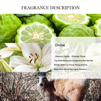 Huile de parfum divine UNIQUE AROMA, huile de parfum concentrée de marque célèbre, huile de parfum organique à la lys, parfum longue durée