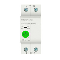 Disjoncteur intelligent monophasé Tuya en plastique pour rail DIN 63A 2P avec moniteur de puissance et commande vocale Alexa