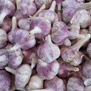 Línea de Procesamiento de Ajo de Acero Inoxidable 304 de Alta Producción (150-800 kg/h), Ecológica, con Peladora y Separadora, Suministro Directo de Fábrica - Product Image 4