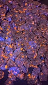 Proveedor Indio de Piedras Preciosas Yooperlite, Piedra Fluorescente Natural para Joyería de Cabujón y Colecciones de Cristales, Disponible para la Venta - Product Image 4