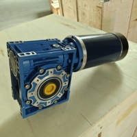 Motor DC Worm Gear 12V 24V Torsi Tinggi 300RPM Motor Gearbox Listrik untuk Peralatan Industri